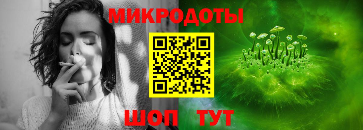 Галлюциногенные грибы Psilocybine cubensis  Вход с VPN  Псилоцибиновые грибы ЛСД  Черняховск 